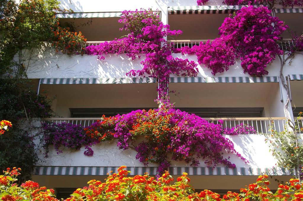 Hotel Pietracap Ville-di-Pietrabugno Exterior photo